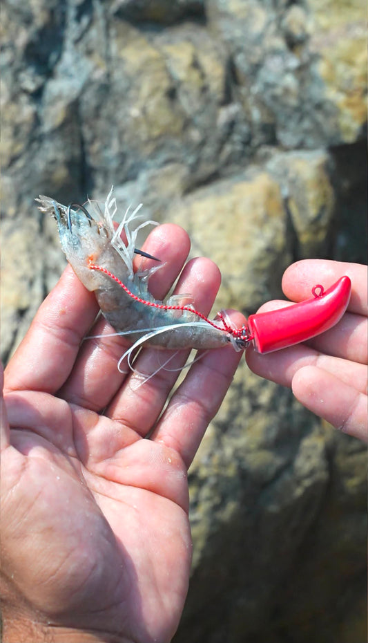 Isula Bait ® TENYA 40g et 70g -denti,Pagre,Chapon et sparidés