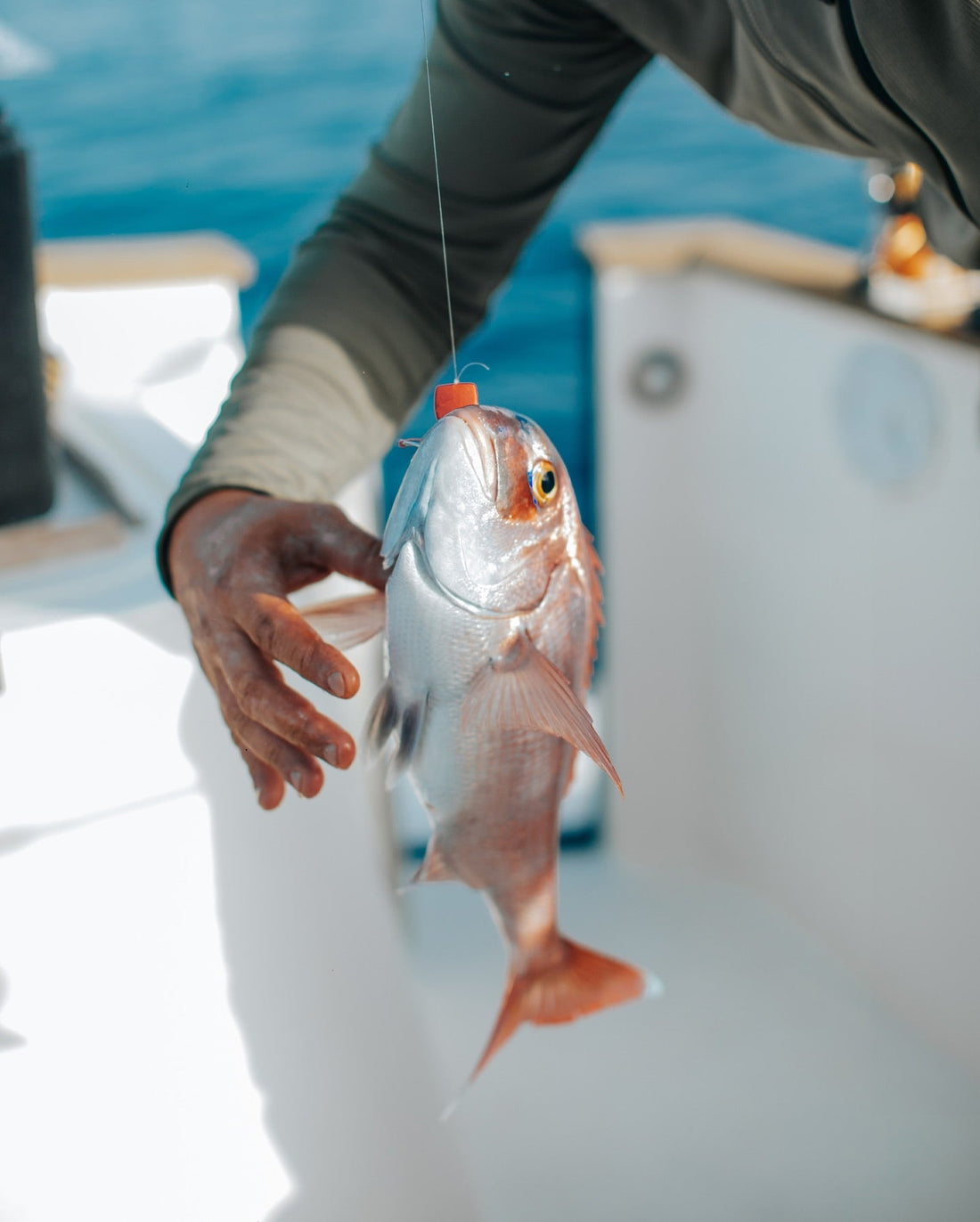 Pêche en mer au Tenya : une technique simple mais redoutable