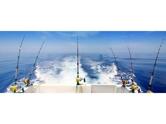 Traine surface pêche en mer RS Fishing Ajaccio 