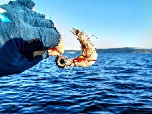 Tenya Madai pêche en mer RS Fishing Ajaccio 