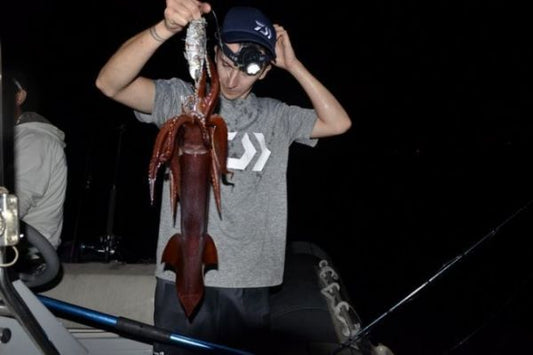 Calamar pêche en mer RS Fishing Ajaccio 