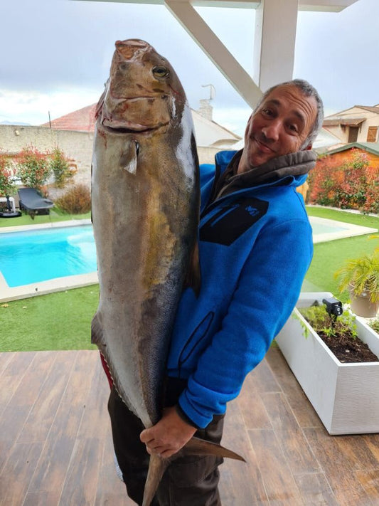 Seriole RS Fishing