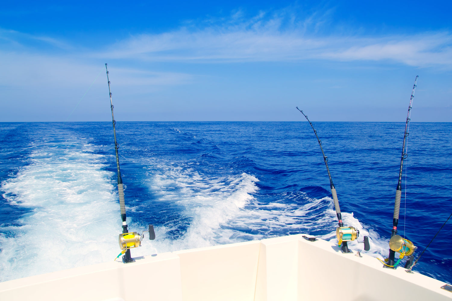 Canne traine pêche en mer RS Fishing Ajaccio 