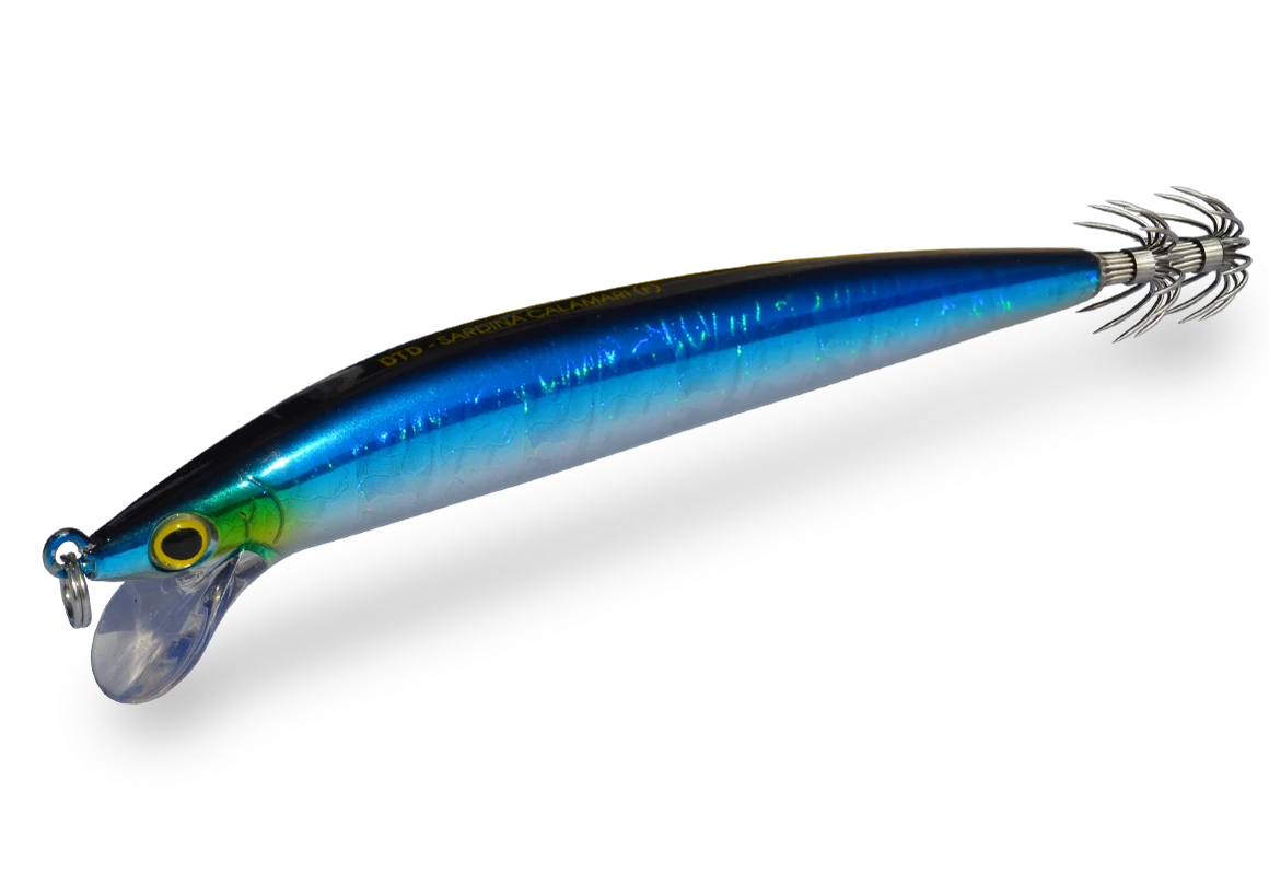 DTD Sardina Calamari