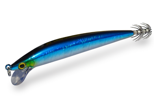 DTD Sardina Calamari