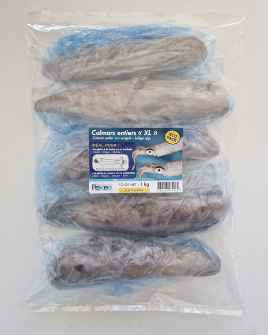 Calamars Congelés Pexeo