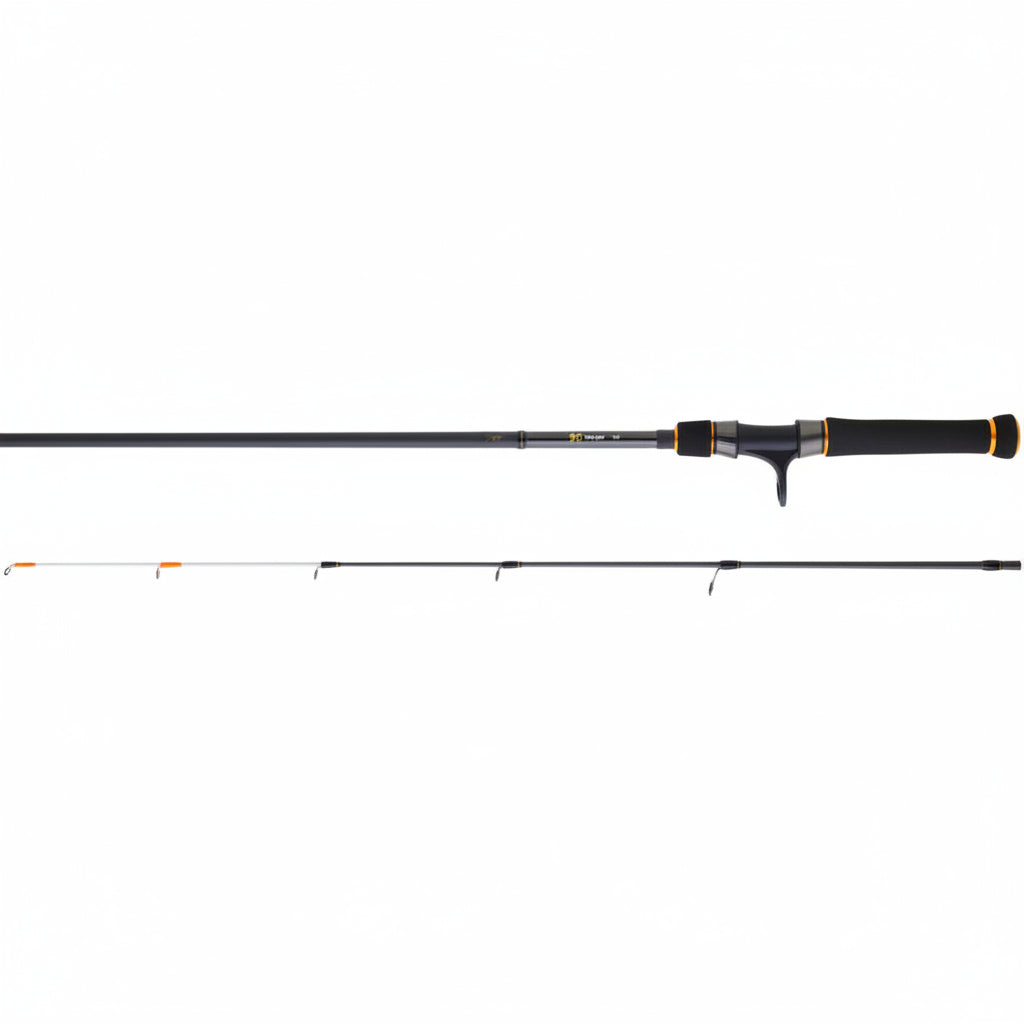 Canne Bg 242 - DAIWA