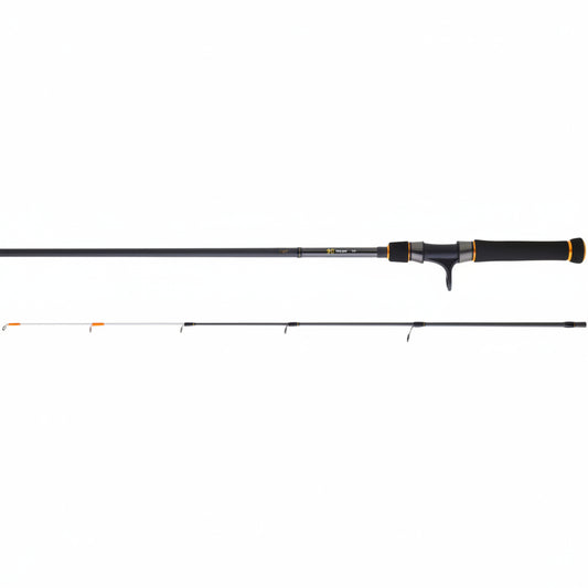 Canne Bg 242 - DAIWA