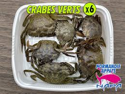 APPATS VIVANT ( americain ,  crabes etc