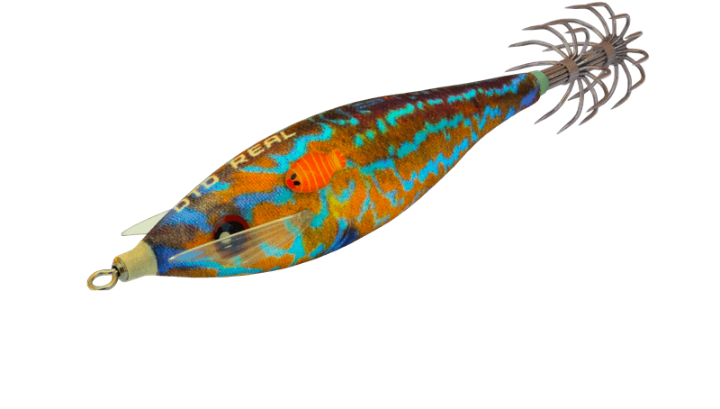 DTD REAL FISH 2026 Turlutte colorée 2.0 pour pêche aux céphalopodes, matériel de pêche en mer.