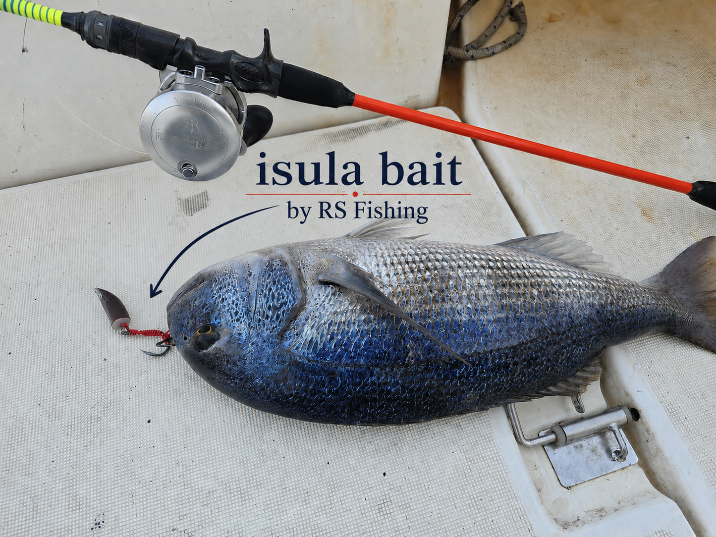 ISULA BAIT ®  70 Gr  By RS Fishing Ajaccio