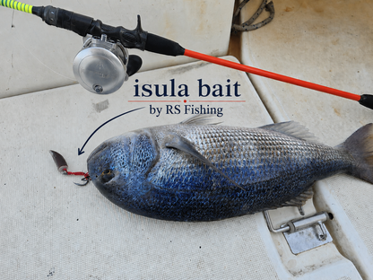 ISULA BAIT ®  70 Gr  By RS Fishing Ajaccio