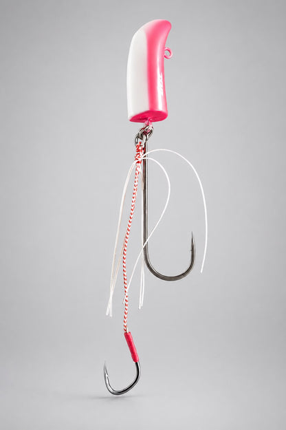 Isula Bait ® TENYA 40g et 70g -denti,Pagre,Chapon et sparidés