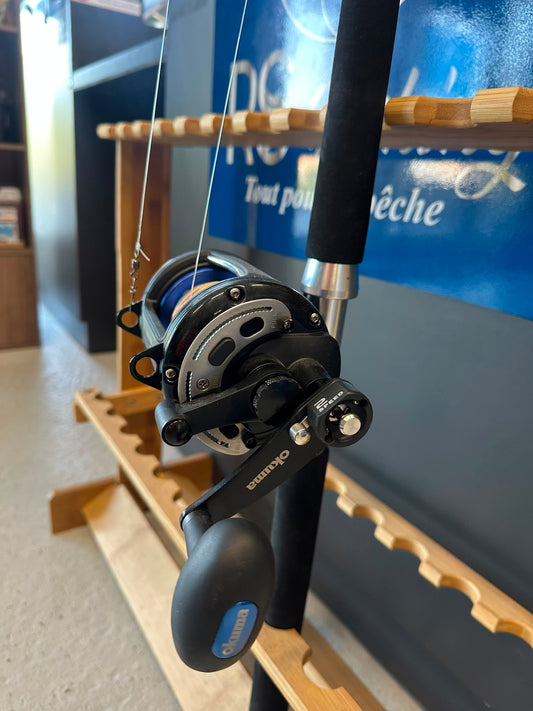 Combo Traine -Canne+moulinet  -Ensemble traine rempli 500M de tresse Daiwa