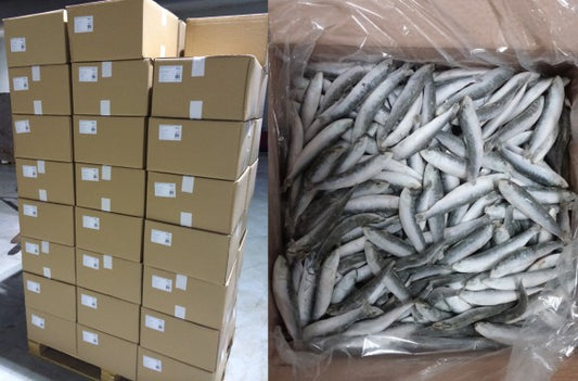 Sardines Medit 10 Kg PEXEO - CONGELES