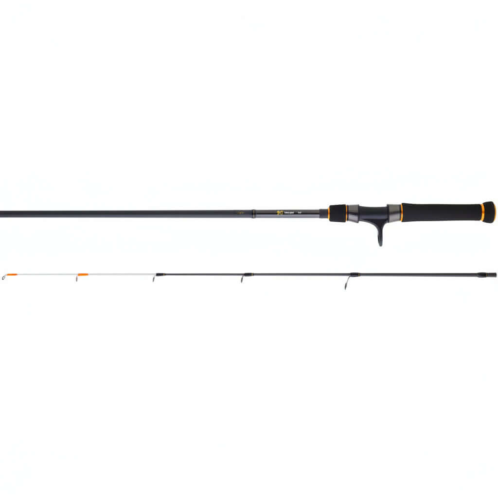 Canne Bg 242 - DAIWA, matériel de pêche en mer, canne Tenya pour sparidés, design technique pour pêche côtière.