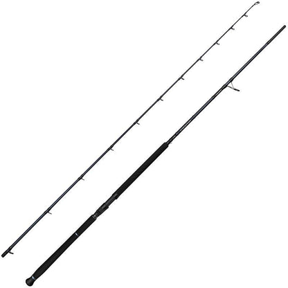 Canne Savage Gear Defiance Sg2 Shore Jigging