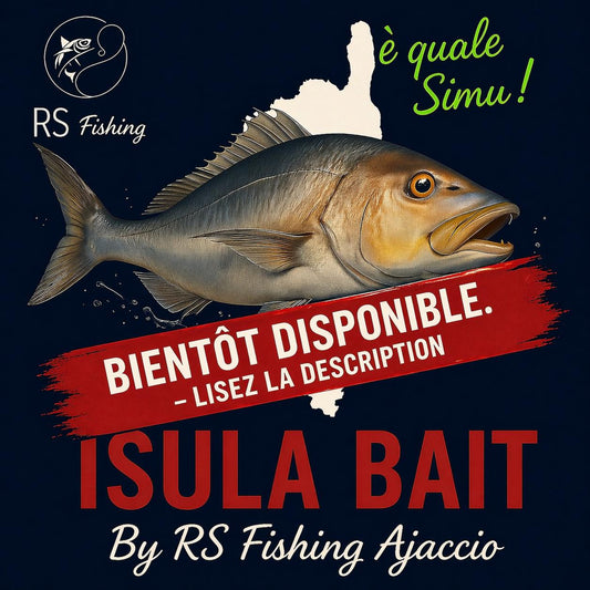 ISULA BAIT 70 Gr  By RS Fishing Ajaccio