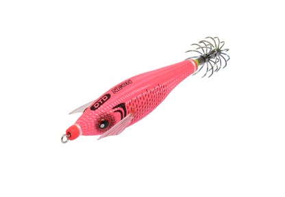 DTD NEON 2026