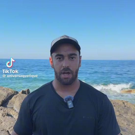 ISULA BAIT Fireball 70g présenter par @universaquatique 