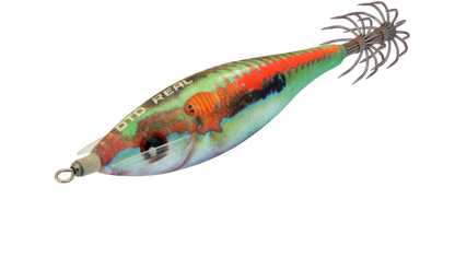 DTD REAL FISH 2026