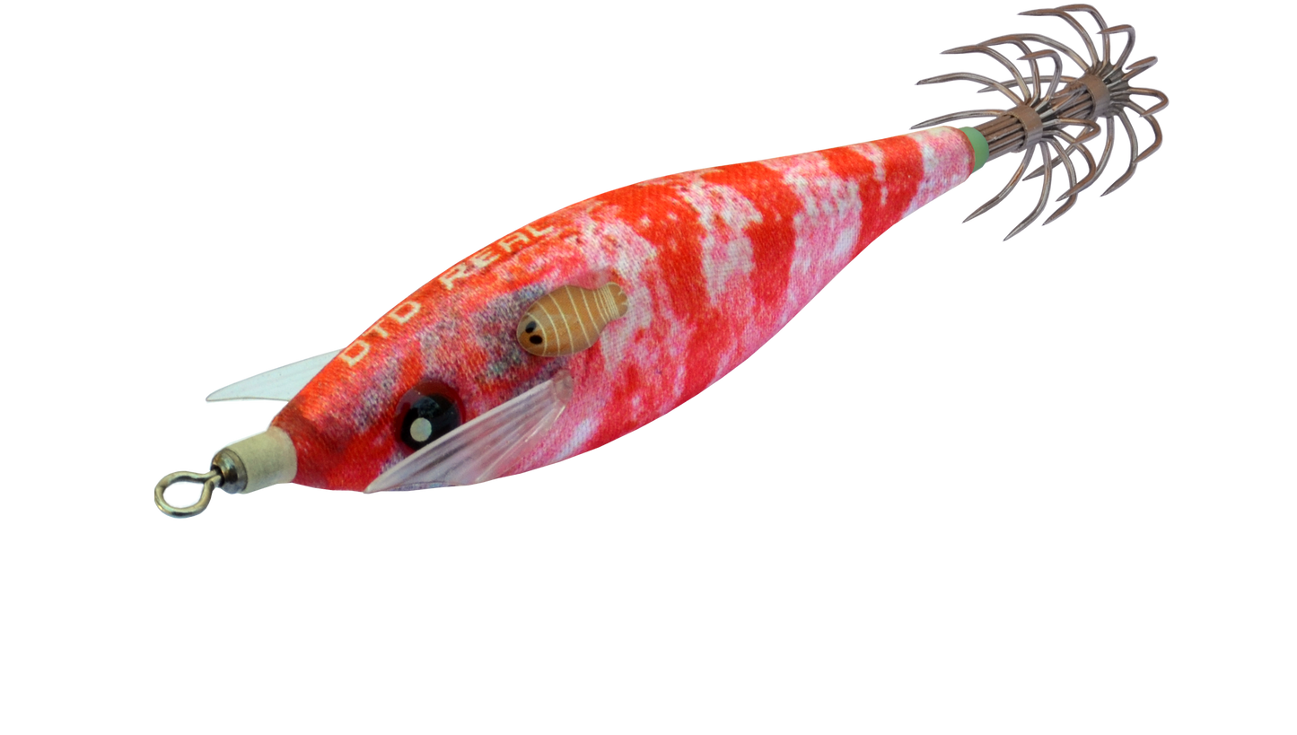DTD REAL FISH 2026