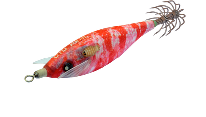 DTD REAL FISH 2026