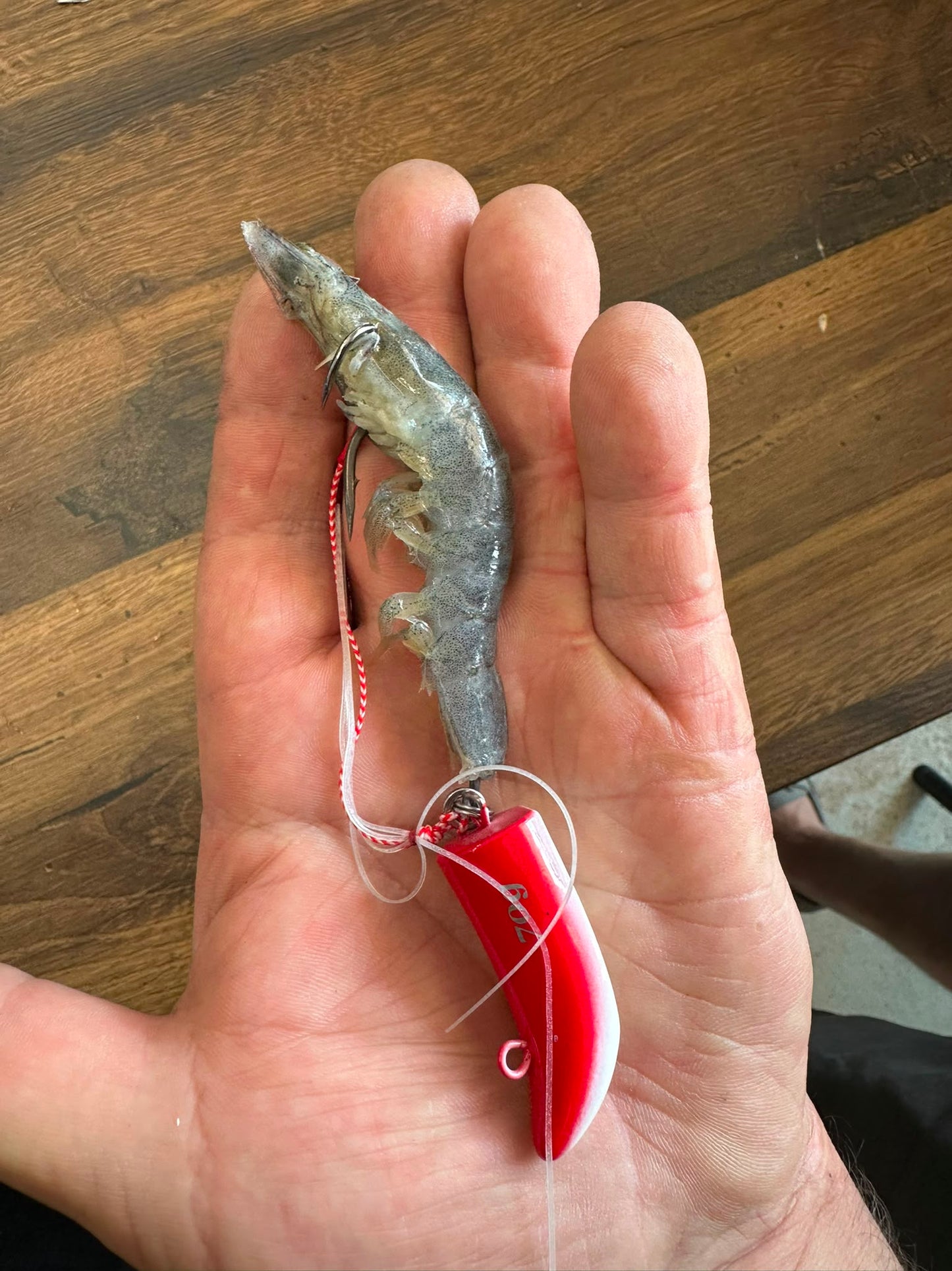 Isula Bait ® TENYA 40g et 70g -denti,Pagre,Chapon et sparidés