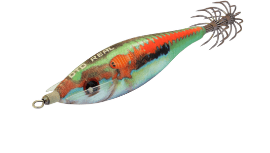 DTD REAL FISH 2026, leurre réaliste pour la pêche aux céphalopodes, taille 2.0, matériel de pêche en mer.